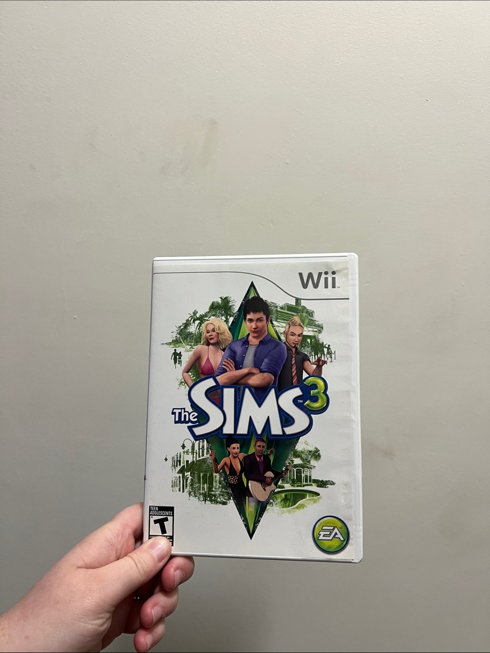 The Sims 3 Wii Game